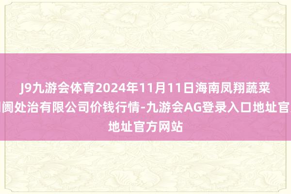 J9九游会体育2024年11月11日海南凤翔蔬菜批发阛阓处治有限公司价钱行情-九游会AG登录入口地址官方网站